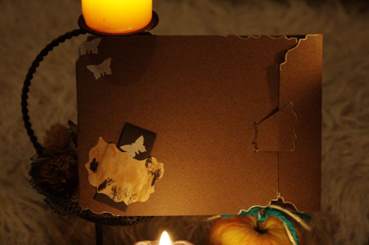 Fluturi argintii intr-un spatiu pamantiu