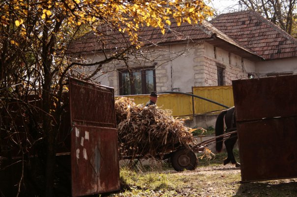 14736_191610408545_2617954_n