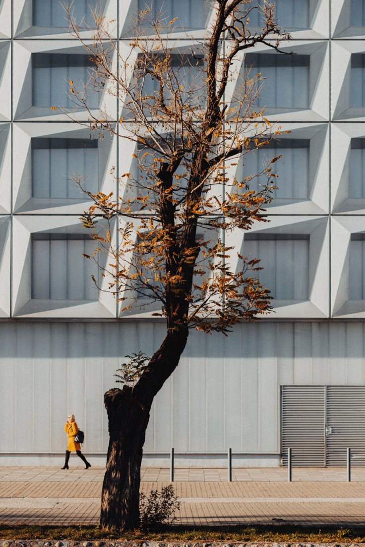 The Function and the Form.jpg